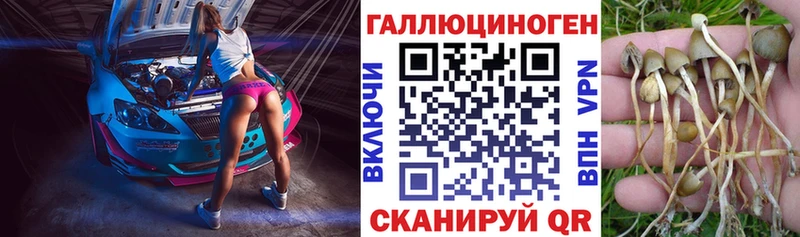 Псилоцибиновые грибы GOLDEN TEACHER  Вытегра 